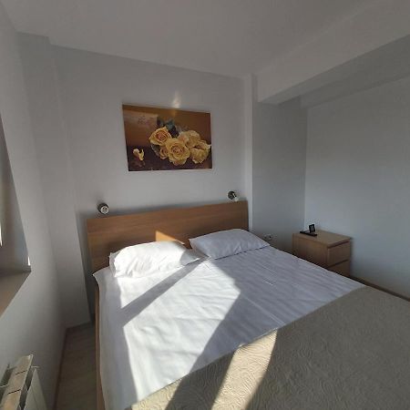 Studio Montana Poiana Brasov Eksteriør bilde