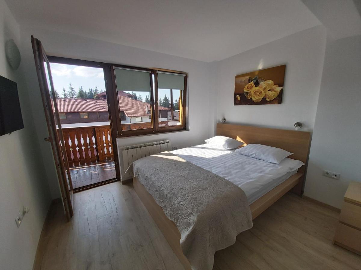 Studio Montana Poiana Brasov Eksteriør bilde