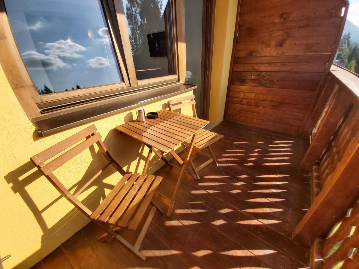 Studio Montana Poiana Brasov Eksteriør bilde