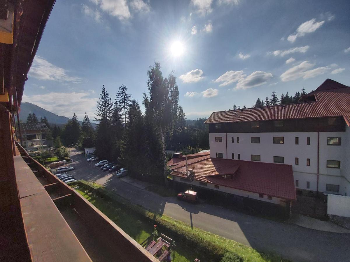 Studio Montana Poiana Brasov Eksteriør bilde